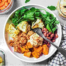 vegan meal plans